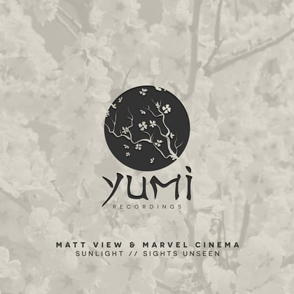 Sunlight/Sights Unseen album by Matt View & Marvel Cinema - Drum and Bass Cover Art