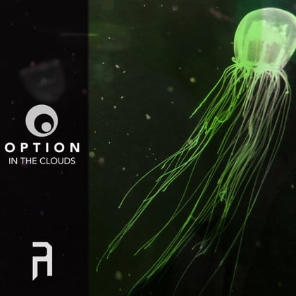 In The Clouds album by Option - Drum and Bass Cover Art