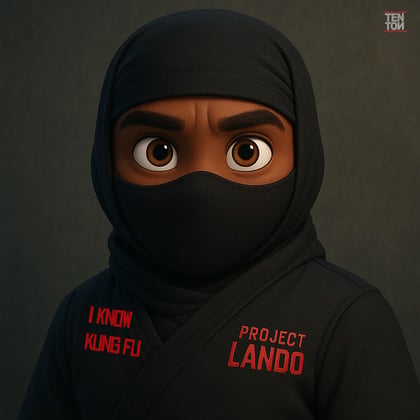 I Know Kung Fu album by Project Lando - Drum and Bass Cover Art