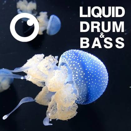Liquid Drum & Bass Sessions 2020 Vol 23 : The Mix album by Dreazz - Drum and Bass Cover Art