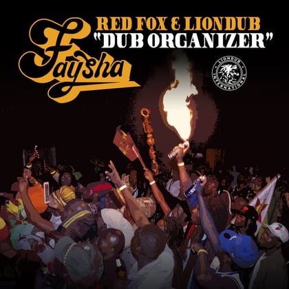 Dub Organizer album by Liondub - Drum and Bass Cover Art