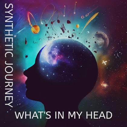 Whats in My Head album by Synthetic Journey - Drum and Bass Cover Art