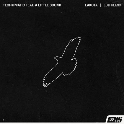 Lakota (LSB Remix) album by Technimatic & LSB - Drum and Bass Cover Art