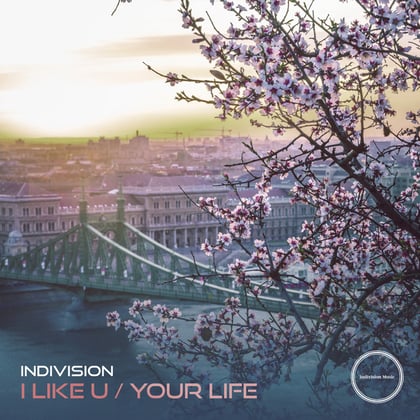 I Like U / Your Life album by Indivision - Drum and Bass Cover Art