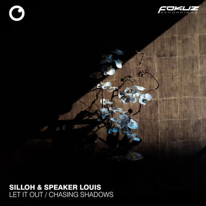 Let It Out / Chasing Shadows album by Silloh - Drum and Bass Cover Art