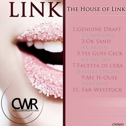 The House of Link album by Link & Dave Spoon - Drum and Bass Cover Art