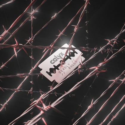 Deadly / Gully album by Calyx - Drum and Bass Cover Art
