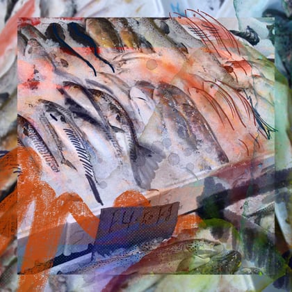 You See How It Spreads Out Like A Fungus album by THUGWIDOW - Drum and Bass Cover Art