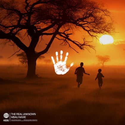 Mbali Nawe album by Tengu & the real unknown (FR) - Drum and Bass Cover Art
