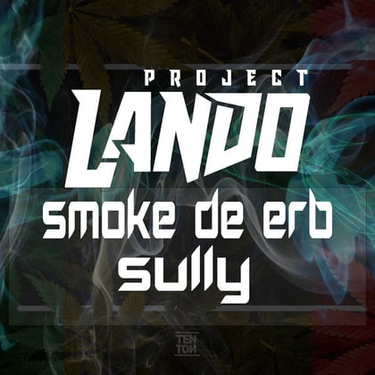 Smoke de Erb | Sully album by Project Lando - Drum and Bass Cover Art