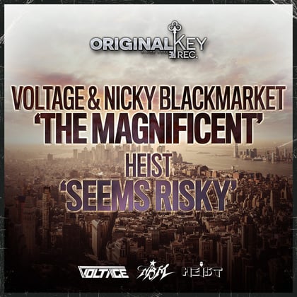 The Magnificent/ Seems Risky album by Voltage, Nicky Blackmarket & Heist - Drum and Bass Cover Art
