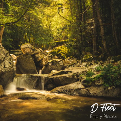 Empty Places album by D Flect - Drum and Bass Cover Art