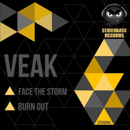 Face the Storm / Burn Out album by Veak - Drum and Bass Cover Art