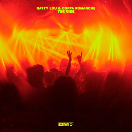 The Vibe album by Natty Lou - Drum and Bass Cover Art