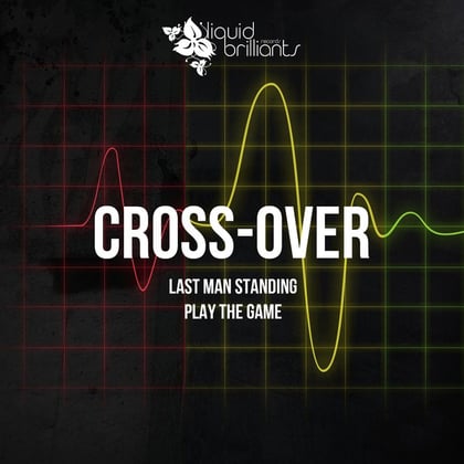Dubwise Brilliants vol.29 album by Cross-Over - Drum and Bass Cover Art
