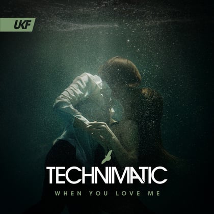 When You Love Me album by Technimatic - Drum and Bass Cover Art