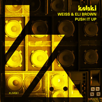 Push It Up album by Sub Focus, WEISS & Eli Brown - Drum and Bass Cover Art