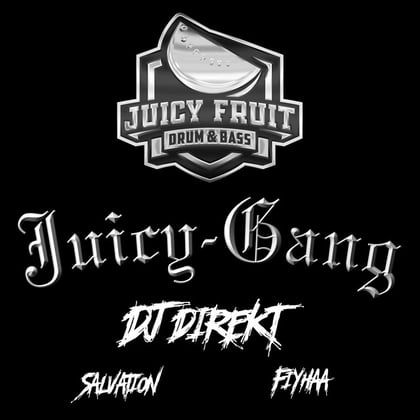 Juicy Gang 004 album by DJ Direkt - Drum and Bass Cover Art