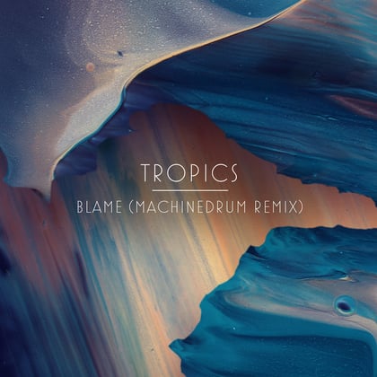Blame (Machinedrum Remix) album by Machinedrum & Tropics - Drum and Bass Cover Art