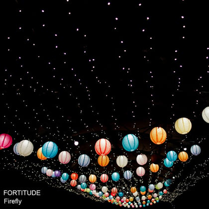 Firefly album by Fortitude - Drum and Bass Cover Art