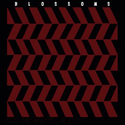 Cut Me and I'll Bleed album by Chase & Status & Blossoms - Drum and Bass Cover Art