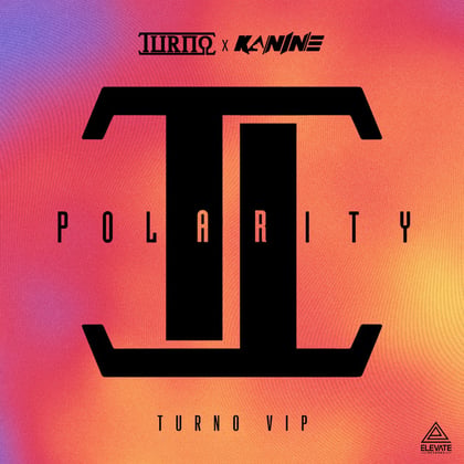 Polarity (VIP) album by Turno & Kanine - Drum and Bass Cover Art