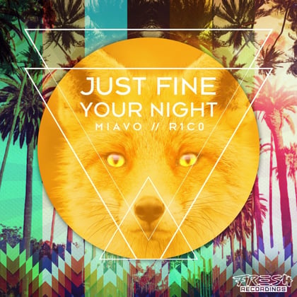 Just Fine / Your Night album by R1C0 - Drum and Bass Cover Art