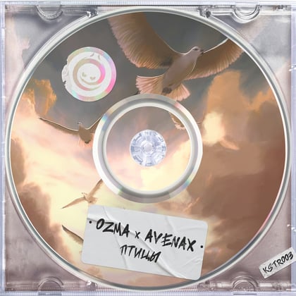Птицы album by Ozma & DJ Ink - Drum and Bass Cover Art