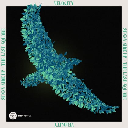 Sunny Side Up / The Last Square album by Velocity - Drum and Bass Cover Art
