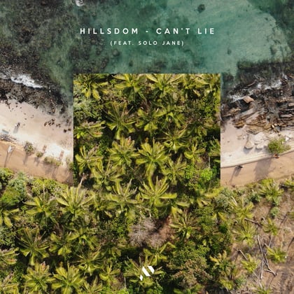 Can't Lie album by Hillsdom - Drum and Bass Cover Art