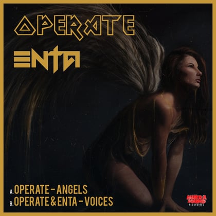 Angels / Voices album by enta - Drum and Bass Cover Art