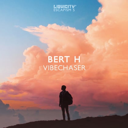 Vibechaser album by Bert H - Drum and Bass Cover Art