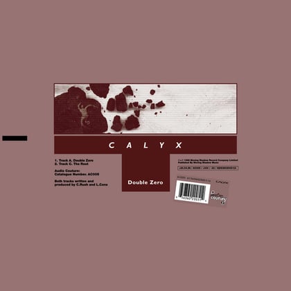Double Zero / The Root album by Calyx - Drum and Bass Cover Art