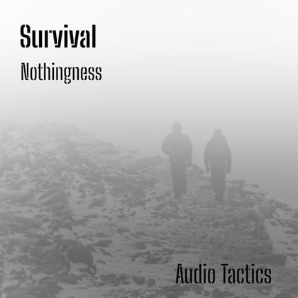Nothingness album by Survival - Drum and Bass Cover Art