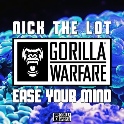 Ease Your Mind album by Agro & Nick The Lot - Drum and Bass Cover Art