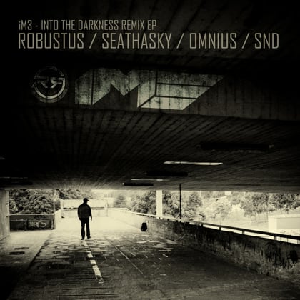 Into The Darkness Remix EP album by Robustus, SND, Seathasky & Omnius - Drum and Bass Cover Art