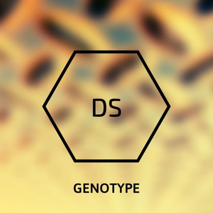 Pure Dirt album by Genotype - Drum and Bass Cover Art