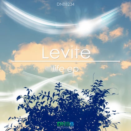 Life album by Levite - Drum and Bass Cover Art