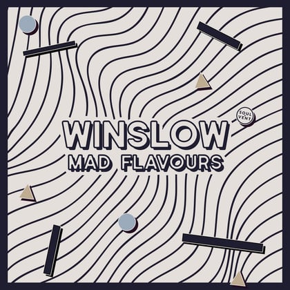 Mad Flavours album by Winslow - Drum and Bass Cover Art