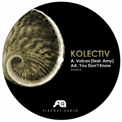 Voices / You Don't Know album by Kolectiv - Drum and Bass Cover Art