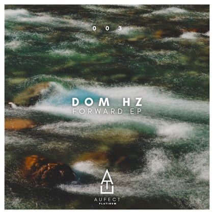 Forward EP album by Dom Hz - Drum and Bass Cover Art