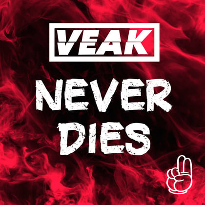 Never Dies album by DJ Direkt & Veak - Drum and Bass Cover Art