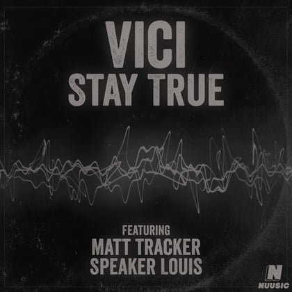 Stay True album by Vici - Drum and Bass Cover Art