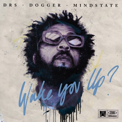 Wake You Up album by Dogger, Mindstate & DRS - Drum and Bass Cover Art