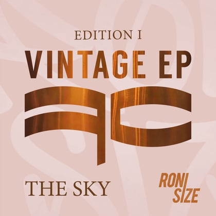 The Sky album by Roni Size - Drum and Bass Cover Art