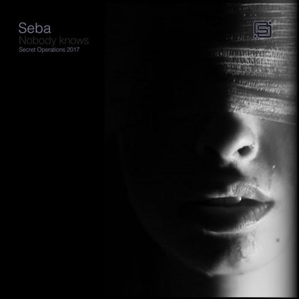 Nobody Knows album by Seba - Drum and Bass Cover Art