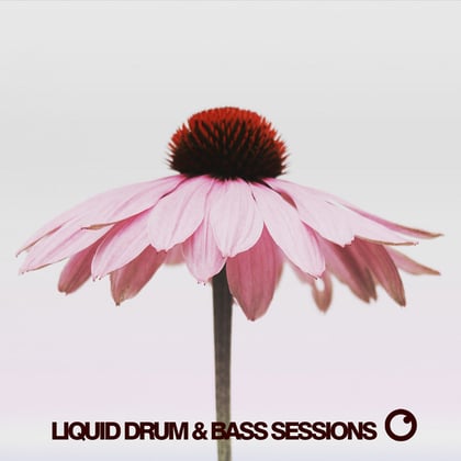 Liquid Drum & Bass Sessions 2020 Vol 10 album by Dreazz - Drum and Bass Cover Art
