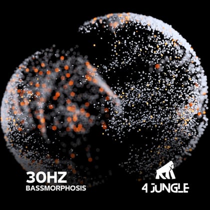 Bassmorphosis album by 30Hz - Drum and Bass Cover Art