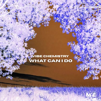 What Can I Do album by Vibe Chemistry - Drum and Bass Cover Art