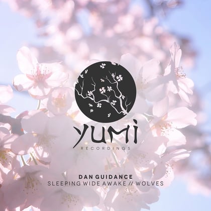 Sleeping Wide Awake / Wolves album by Dan Guidance - Drum and Bass Cover Art